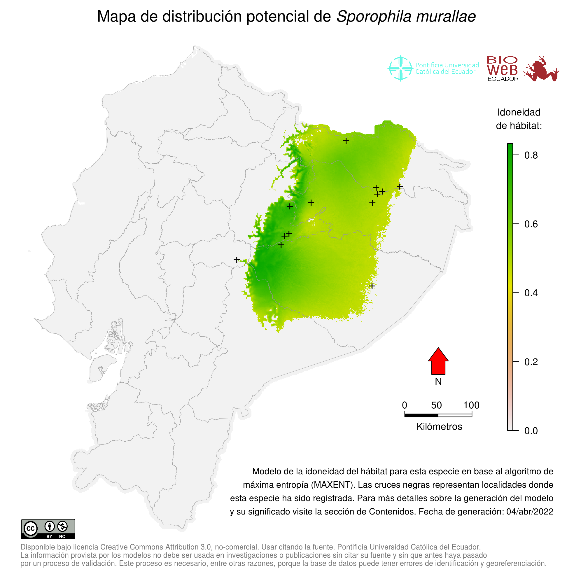 papa-capim-de-caquetá (Sporophila murallae)  WikiAves - A Enciclopédia das  Aves do Brasil