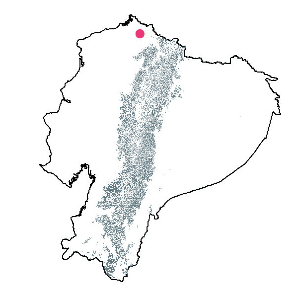 Mapa de Anthurium lineolatum