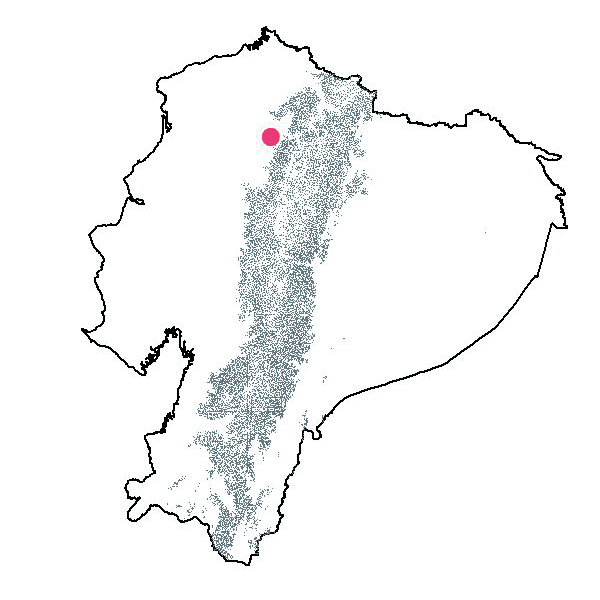 Mapa de Anthurium obovatum
