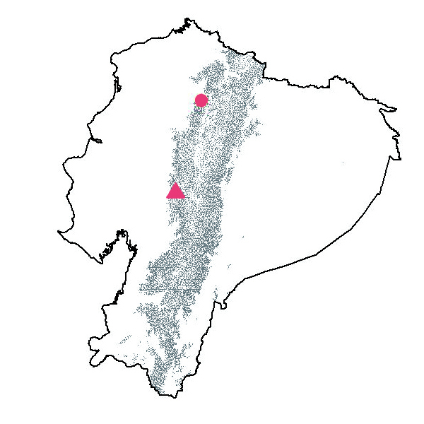 Mapa de Begonia exalata