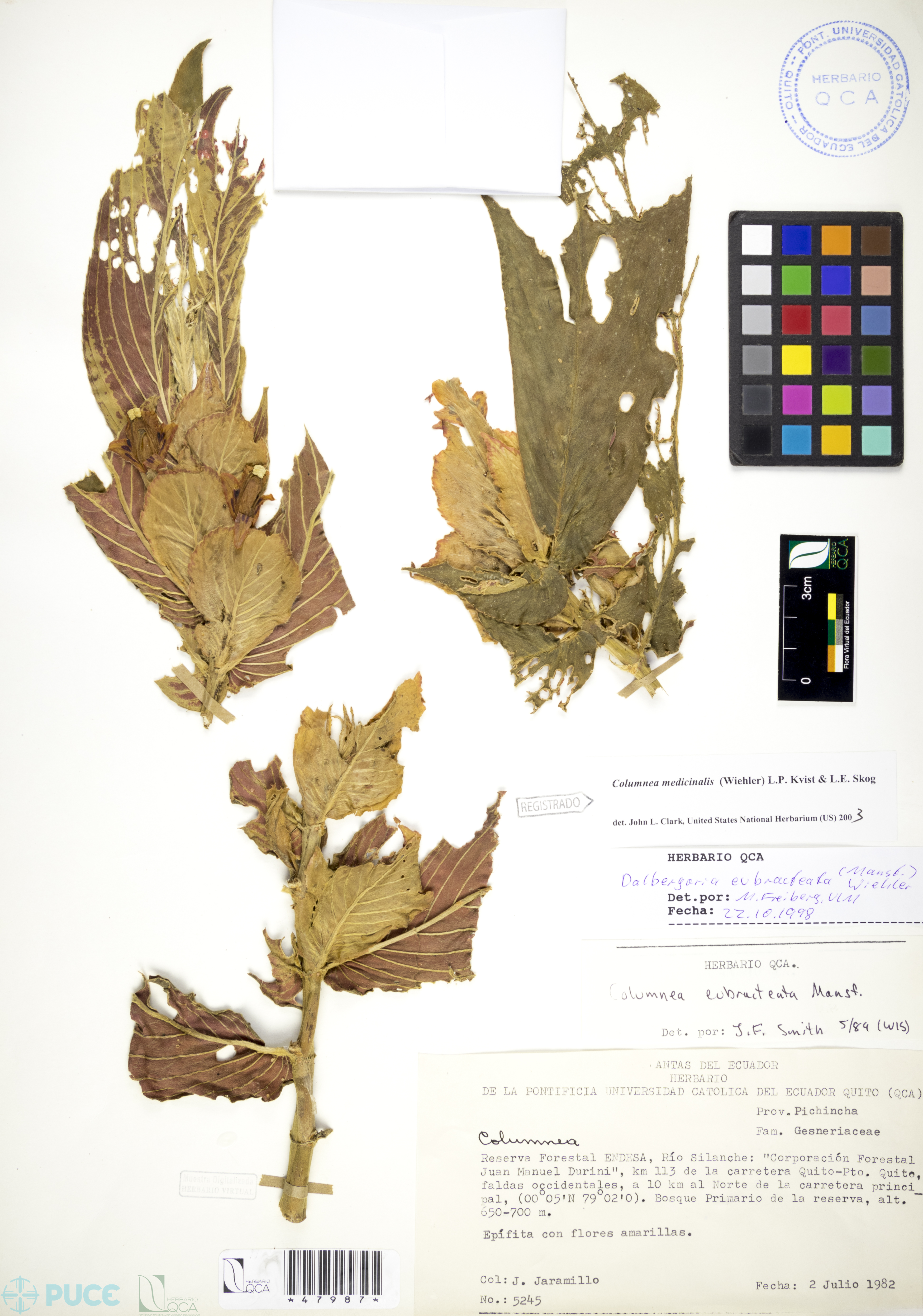 Galería Bioweb Ecuador