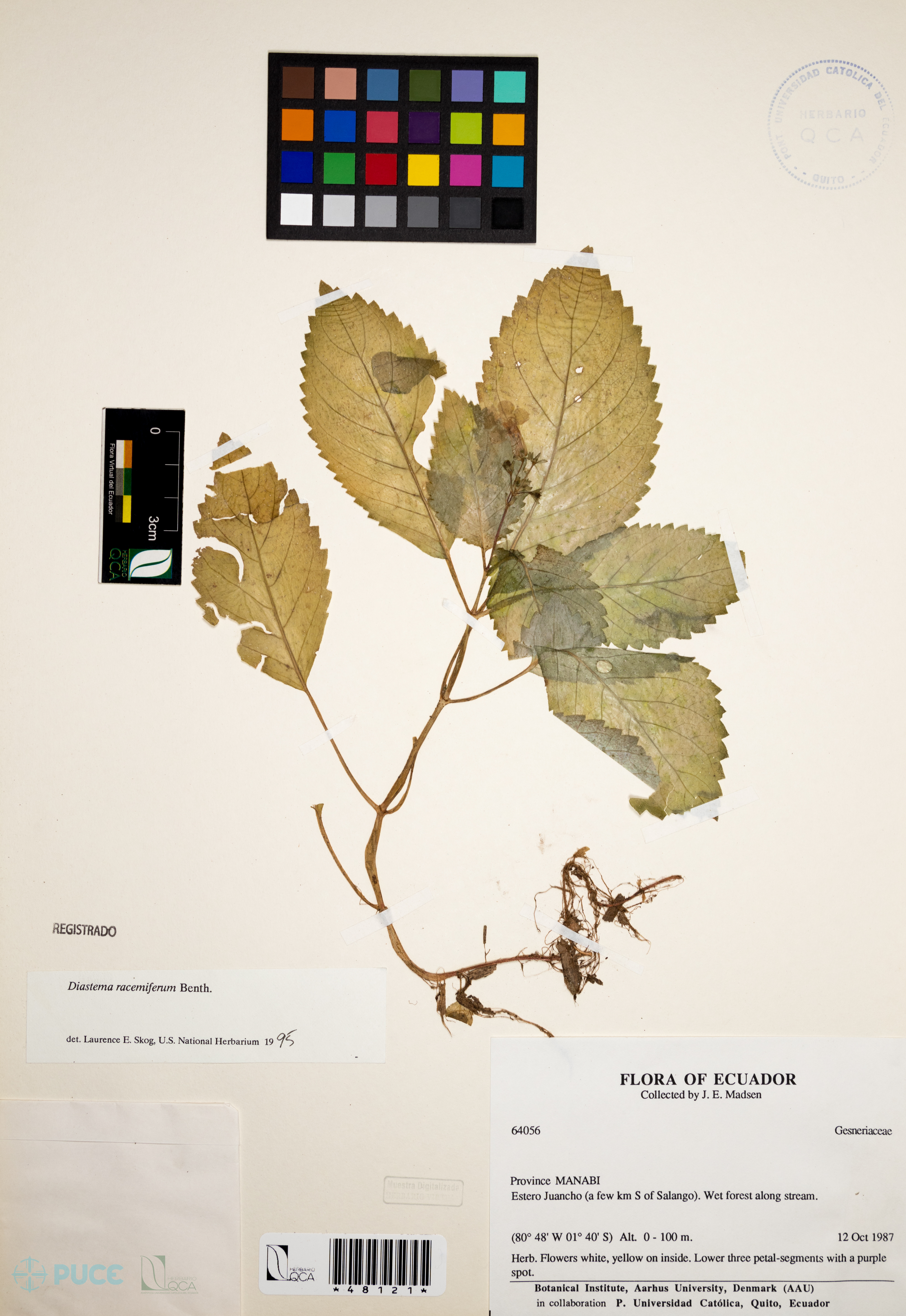 Galería Bioweb Ecuador