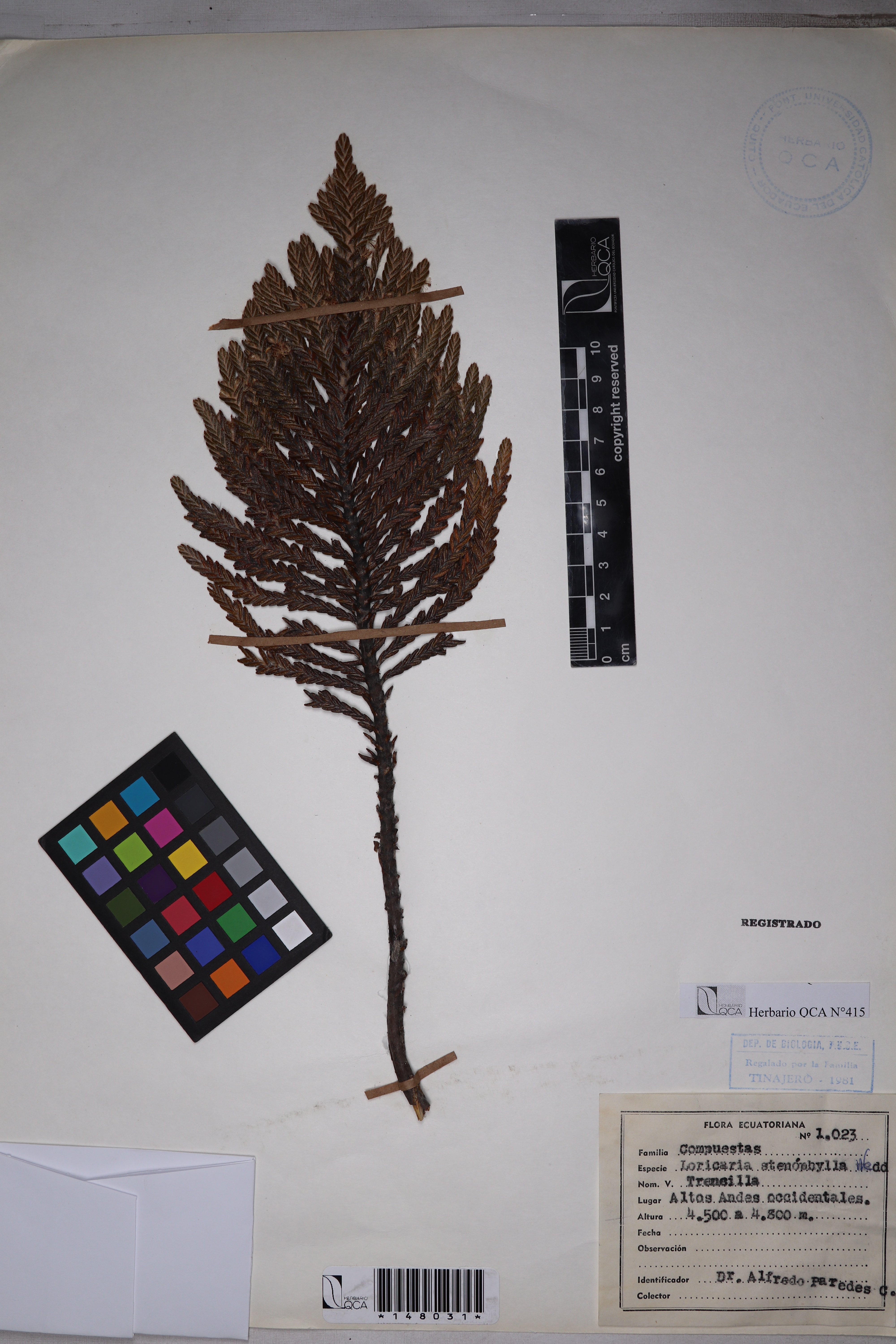 Galería Bioweb Ecuador