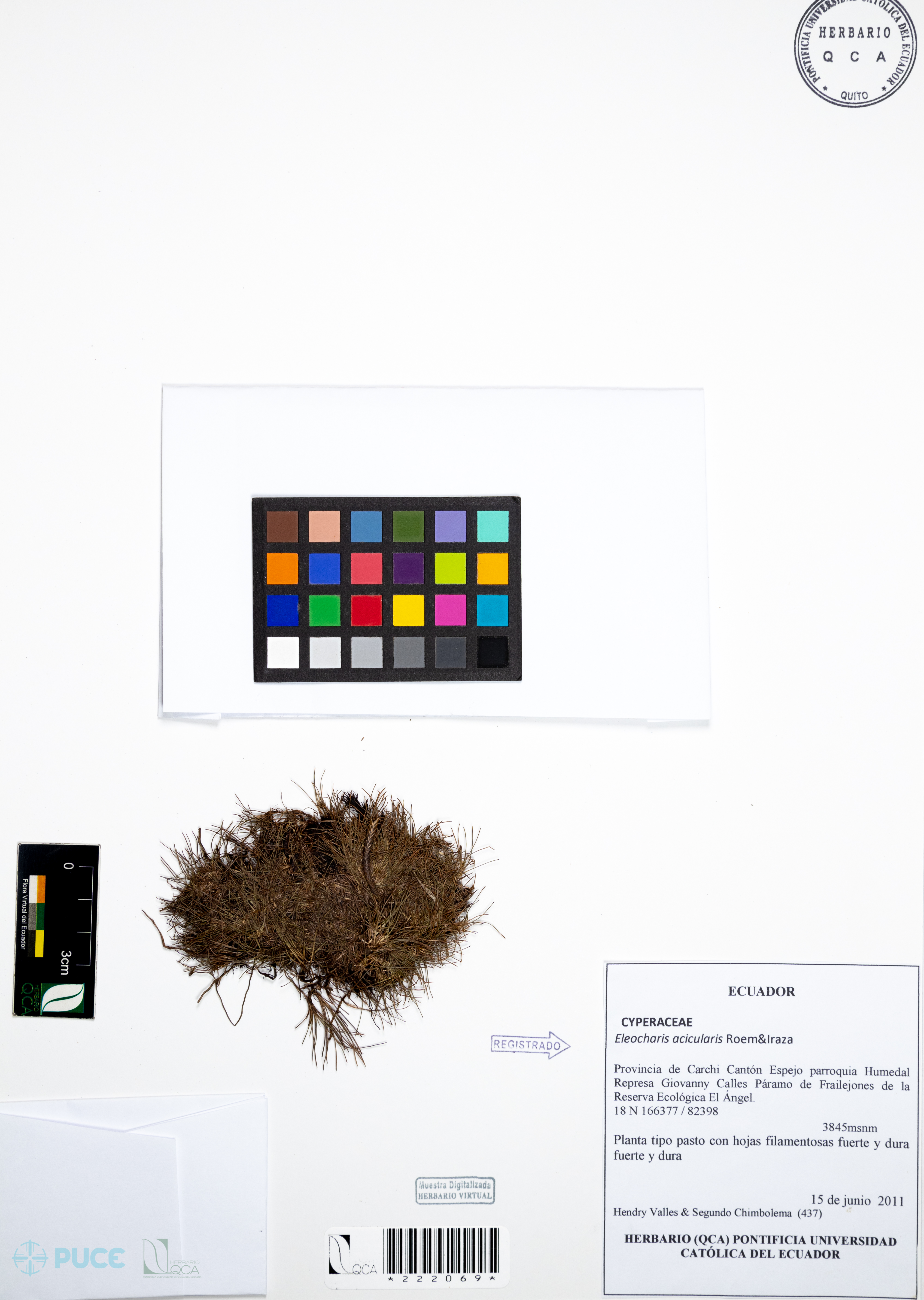 Galería Bioweb Ecuador