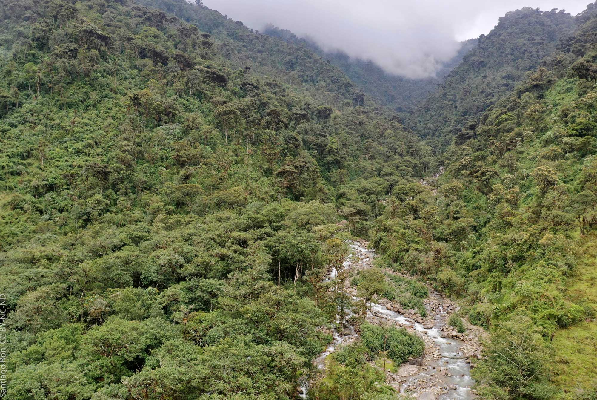 Regiones Naturales Ecuador